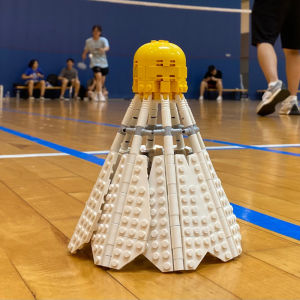 Đồ Chơi Lắp Ráp Cầu Lông Cỡ Lớn Dành Cho Người Lớn Quà Tặng Sinh Nhật Cho Bé Trai Và Bé Gái Đồ Trang Trí Lắp Ráp Giáo Dục