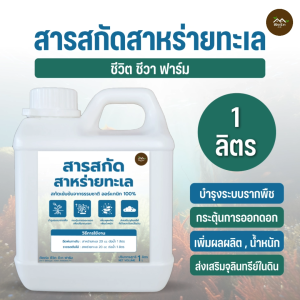 สารสกัดสาหร่ายทะเล 1-5 ลิตร บำรุงระบบรากพืช เพิ่มผลผลิต กระตุ้นการติดดอก ออกผล