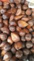 salak pondoh jumbo 1kg. 