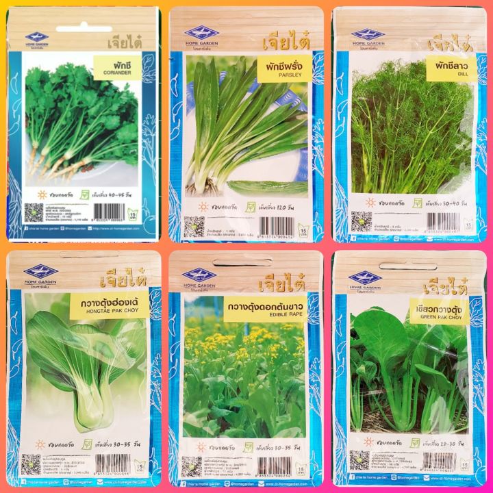 เมล็ดผักรวม เจียไต๋ (ผักชี, กวางตุ้ง) สำหรับปลูกผักยอดนิยม