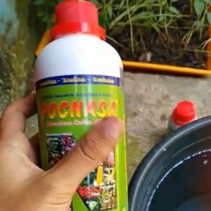 Pupuk Buah Naga Cepat Berbuah Anti Rontok Pupuk Organik Pelebat Buah Naga Pupuk Booster Buah Naga