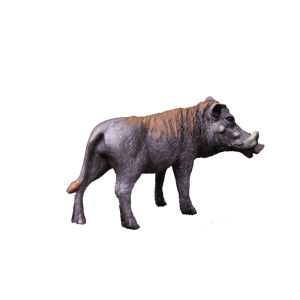 Realistic Animal Education Toys