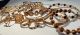 copper and crystal jewelleries
