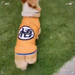 Dog Clothes Summer Fashion: Breathable Cartoon Animal Pattern Cat & Dog Puppy Vest