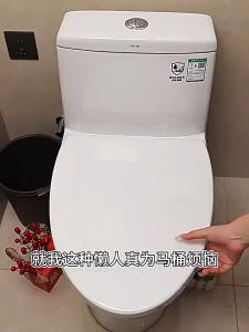 Title 🔥 Toilet Hanging Basket Cleaner | Toilet Bowl Descaler & Deodorizer | Toilet Freshener & Hanging Cleaner