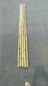 Tre Trúc khô trang trí tết cây dài 1m 1m20 1m50 1m75 Cây trúc ốp tường trúc sào làm hàng rào dàn cho cây leo