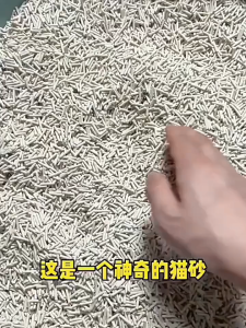 [Bundle of 6] DUCATI Tofu Cat Litter 6 Bagsx 1.9kg 3 Scent Available