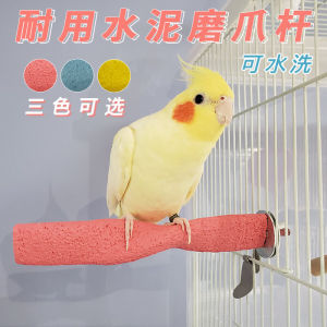 Durable Cement Bird Stand & Parrot Supplies: A Guide to Beak & Nail Grinding