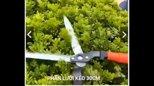 Kéo cắt cỏ kéo xén hàng ràokéo tỉa cành trên cao Japan dài 95cm - Thiết kế tăng giảm kích thước đơn giản