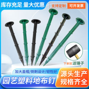 ตะปูพลาสติกกันหญ้า แผ่นคลุมดิน โพลีเอสเตอร์ ตะปูเหล็กกล้าสำหรับสวน แผ่นคลุมแสงแดด ตะปูแบบมีเข็มขัดสำหรับสวนและไร่