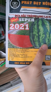 (Gói 20gr) Hạt Giống Dưa Hấu Thành Long Lai F1 SUPER 2021 PHÁT ĐẠT NÔNG
