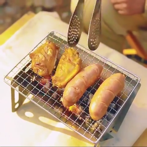 LOOGU Mini Stainless Outdoor Griller Foldable BBQ Grill for Home Outdoor for Camping Portable