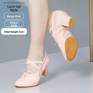 Black Elegant Soft Bottom Dance Shoes High Heel Training Shoes for Women Adult Ballet Performance Comfortable Non-Slip Shoes