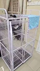 Multi-layer Square Tube Iron Cage: The Ultimate Outdoor Large Cat Villa