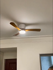 52" ceiling fan light + fan 2-in-1 6 speeds remote control reversible/timer function silent DC motor strong wind low noise