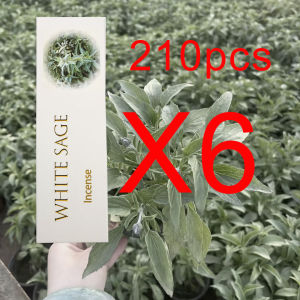 35Pcs/Box Bold White Sage Incense Sticks Made of Natural Incense Powder Strong-Scented Incense Sticks Suitable for Home Air Purification Yoga Gatherings Camping Fishing Guest Rooms Long-Lasting Fragrance No Holiday Usage Restrictions