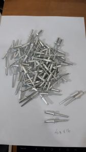 Paku Rivet 48x16 (665) isi 500pcs