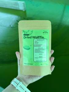 (50กรัม)ไข่ผำอบแห้ง ออแกนิก มีใบตรวจสารอาหารและสารปนเปื้อน