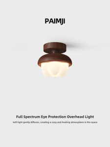 PAIMIJI | Wood Texture Small Size Ceiling Light