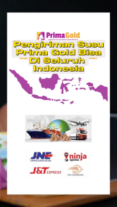 Paket Hemat Banget PRIMA GOLD Susu Kambing Etawa – Pilihan Ganjil 1 3 5 7 9 Box Solusi Kesehatan Optimal Keluarga