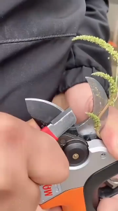 Pengasah Pisau Portable Mini Portable Sharpener Knife Alat Asah Gunting Kebun Kapak / Asahan Genggam