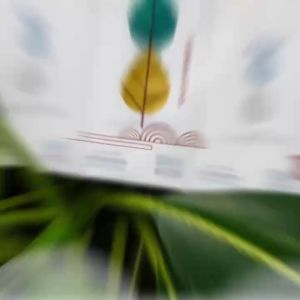 ทิชชู่ [1แพ็ค10ห่อ] หนา5ชั้นทำจากเยื่อไม้บริสุทธิ์เช็คหน้าเช็คมือได้เหนียวนุ่มทำจากเยื่อไม้บริสุทธิ์