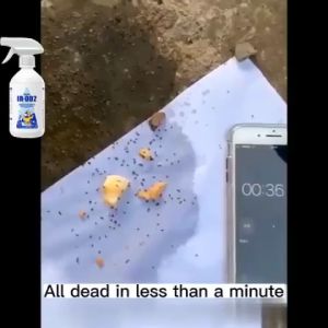 🔶One infected whole nest died✅ Termite Killer 100g termites pesticide for wood termites killer powder termite baiting system termite bait termites killer solution odorless anti termite spray for wood