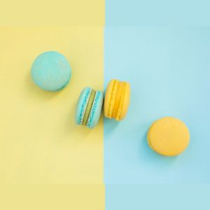 Dog Clothing Macaron Cool Vest | Dog Summer T-shirt Sleeveless UV Protection Anti-bacterial Cooling | Size XS to 6XL Small Medium Large Dog