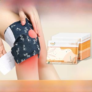 Knee Pad Argy Wormwood Hot Sticking Old Cold Leg Heattech Knee Men and Women Joint Warm Knee Patch for the Elderly Special Fever Handy Gadget