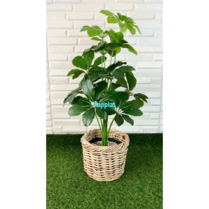 Pohon Artificial Tanaman Hias Daun Walisongo X12 Semilatex Cover Pot Rotan Bulat Hiasan Kamar Dekorasi Kantor