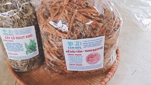 Rễ cây dâu tằm sấy khô [100g] TẶNG [50g]  cỏ ngọt  -hỗ trợ cải thiện sức khỏe xương khớp