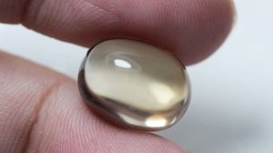 11.30 ct พลอยแท้ ธรรมชาติ สโมคกี้ ควอตซ์ ทรงไข่หลังเบี้ย สีเหลืองอมดำ