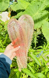 Khô Rắn Đồng Đặc Sản KHOMITA 500g 4Nắng khô sạch thấy là thèm. Đóng hút chân không đi được cả nước Ngoài