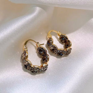 2023 New Design Fashion Jewelry Grey Crystal Earrings Elegant Womens Daily Work Accessories