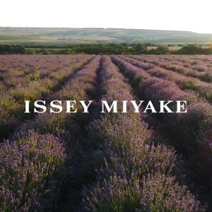 Issey Miyake LEau dIssey Solar Violet EDTI 100ml
