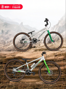 RoyalBaby | Youth BMX Race Bicycle