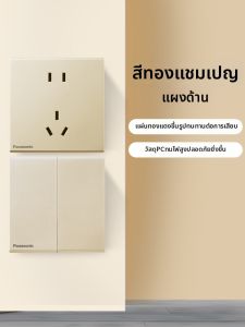 Panasonic | Dual Control USB 5-hole Socket 16A