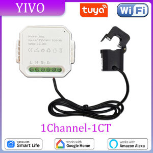 Tuya Smart WiFi Energy Meter 1Channel with Current Transformer Clamp App Monitor Power 80A 100V/240V 50/60Hz: A Comprehensive Guide