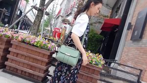 Crossbody Bag for Woman: Shoulder Bag Classic Elegant Square Bag Chic Korean Style High-end Bag