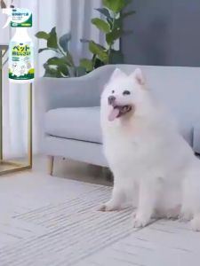 3 seconds Kills tick spray Tick and Flea Killer Spary  Flea and Tick Spray Plant formula for cats and dogs Pet skin care Harmless and lickable Anti ticks and fleas for dogs Pet insecticide spray 50 years of tick-free