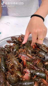 Ready Stock - Crawfish Shell Peeler Tool - Easy Shrimp Meat Removal Clean and Convenient