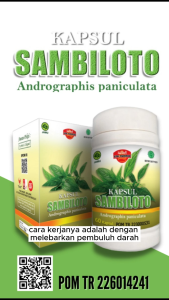 Kapsul Sambiloto Ath Thoifah 60 Kapsul Obat Herbal Diabetes & Demam Anti Virus dari Ath Thoifah