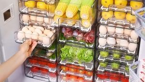 Fridge Drawer Double Storage Box Egg Tray Drawer Box Refrigerator Organizer Stackable Plastic Pull Out Box by Thehomeshoppe