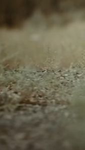 Buku Paket Kisah Para Nabi & Biografi Istri Putri Nabi