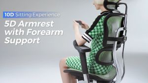 AM Office Ergohuman Elite 2 Ergonomic Chair Mesh Chair