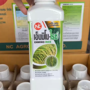 เอ็นมิโนไรซ์ อะมิโน พืช ฮอร์โมนพืช ถูกช่วยในการฉีดทุกระยะ กอใหญ่ เขียวเร็ว ทนทาน น้ำหนักดี 1 ลิตร