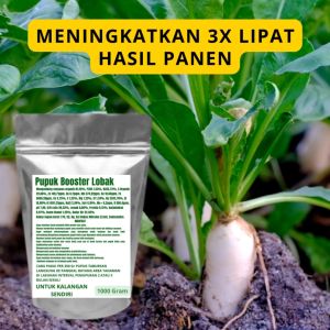 Pupuk Booster Lobak Pelebat Organik Cepat Berbuah Lebat Besar Anti Rontok Pembesar Lobak