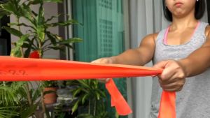 Sanctband Active Resistive Band (Durable 2.5M Resistive Band for Variety of Exercises)