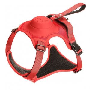 Hadassah | Adjustable Anti-Shock Chest & Leash Combined Dog Leash