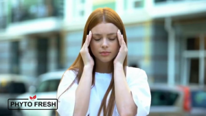 Phyto fresh Essential Oil Minyak Angin Urut Gosok Pijat Menghangatkan Tubuh